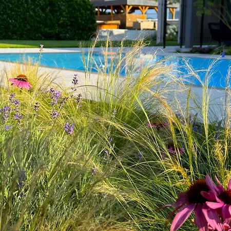 Paradisio Poolsuite Summergold In Am Bodensee *